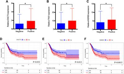 Frontiers | Identification Of Lymph Node Metastasis–Related Key Genes ...